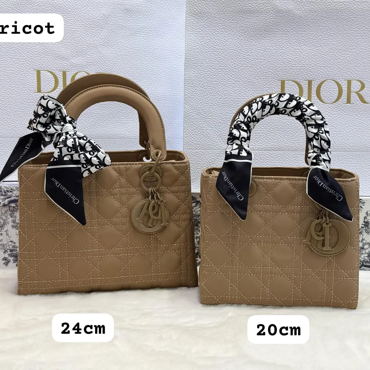 46546545656456456465